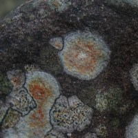 Ça, Surmoi, Moi et Quant à soi | MOTS DITS et GARDE-NOTES